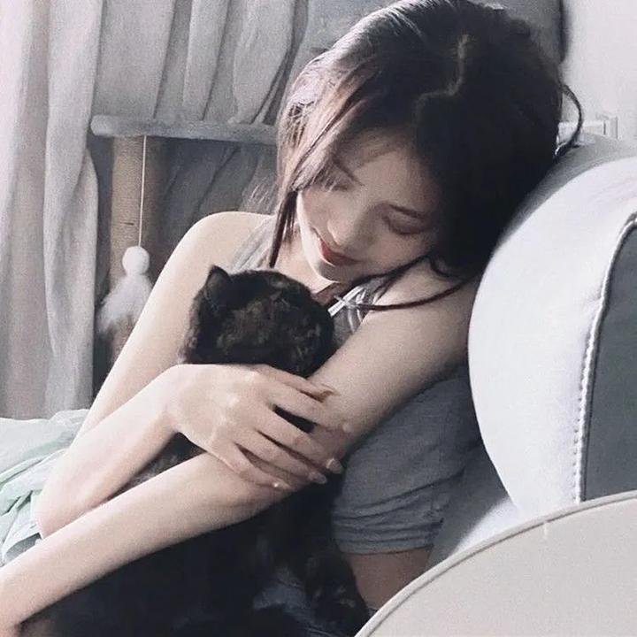 哈吉布基的森林冒险